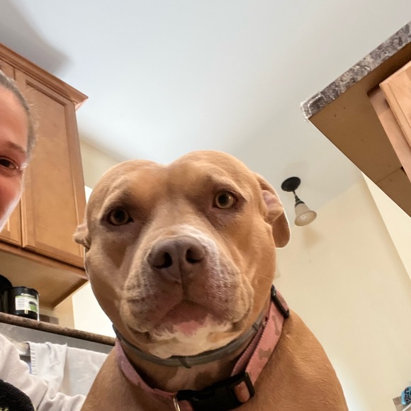 Meet your Posher, Kelly - Picture 9 of 10